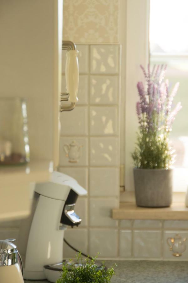 'Op De Borgt' Met Finse Grill Kota Villa Wellen ภายนอก รูปภาพ